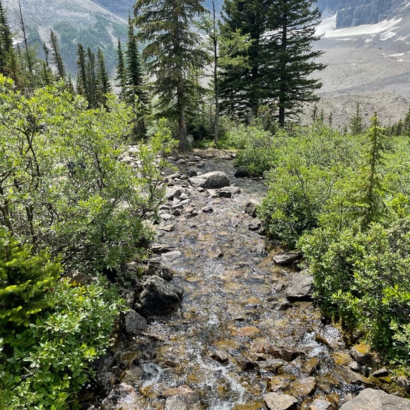 Meet your Posher, Andrew - Picture 3 of 10